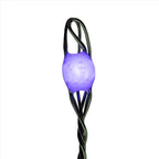 Celebrations - BSCCX250BLA - LED Big Seed Cluster Blue 250 CT String Christmas Lights 10 Ft.