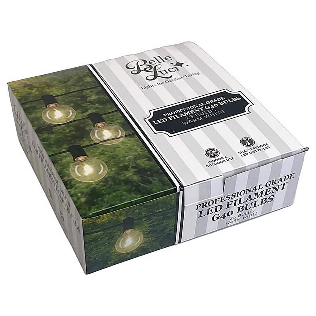 Belle Luci - BLBUG4025W - Holiday Bright Lights G40 Single Filament LED Replacement Bulb Warm White 2 In. 25 Lights