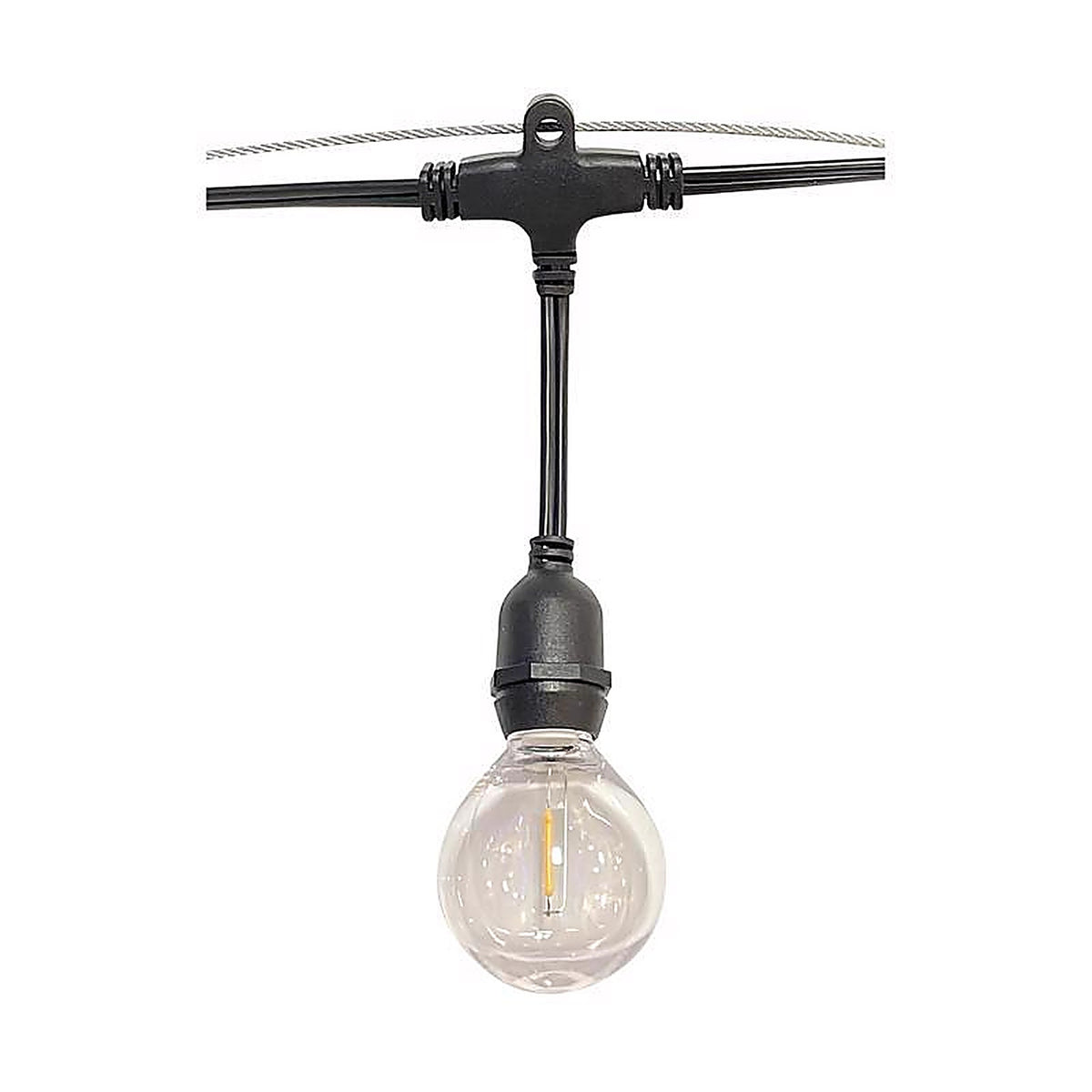 Belle Luci - 04-03008 - Holiday Bright Lights LED G50 Single Filament LED Replacement Bulb Warm White 2.5 In. 25