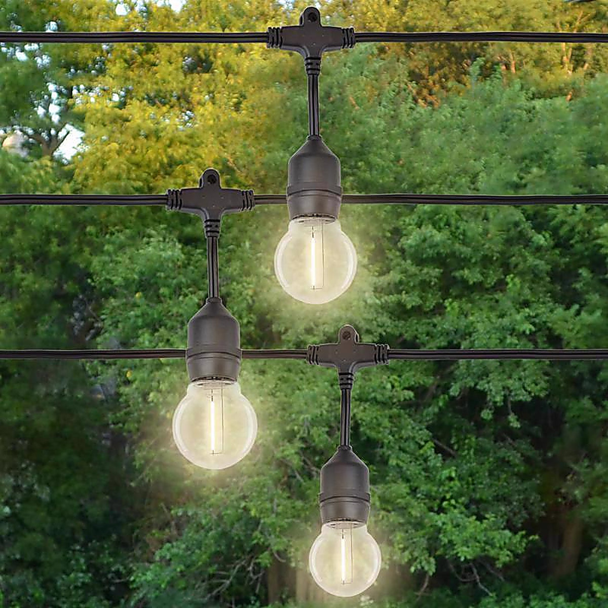 Belle Luci - 04-03007 - Holiday Bright Lights LED G50 Single Filament Bulbs Warm White 2.5 In. 25 Lights