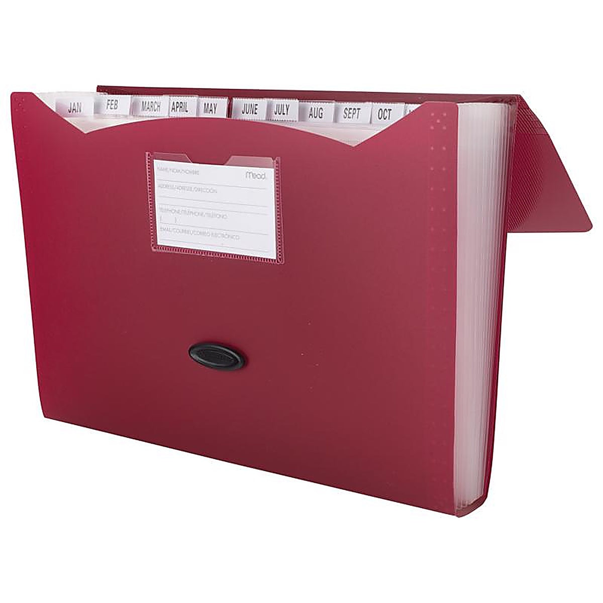 Mead - 35902 - 9.75 In. H X 13 In. W File Organizer Assorted