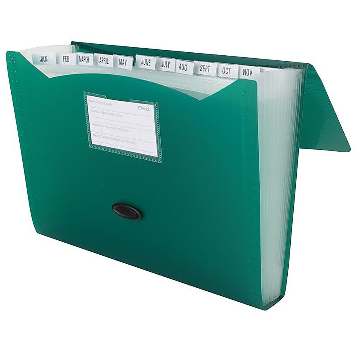 Mead - 35902 - 9.75 In. H X 13 In. W File Organizer Assorted