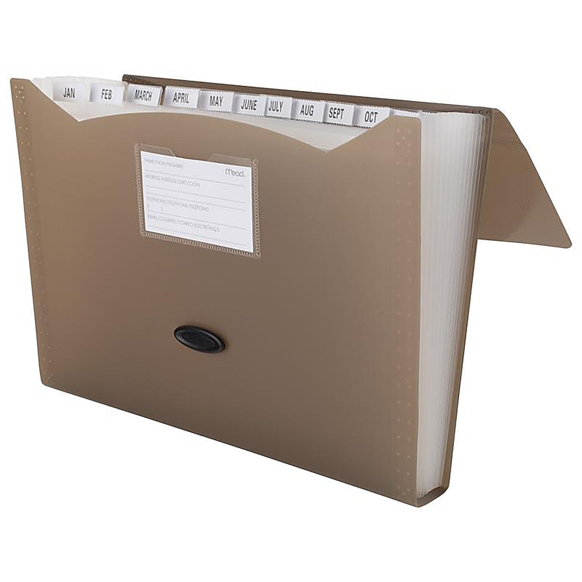 Mead - 35902 - 9.75 In. H X 13 In. W File Organizer Assorted