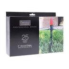 Celebrations - STK75BXA - Christmas Light Stakes 25 Pack