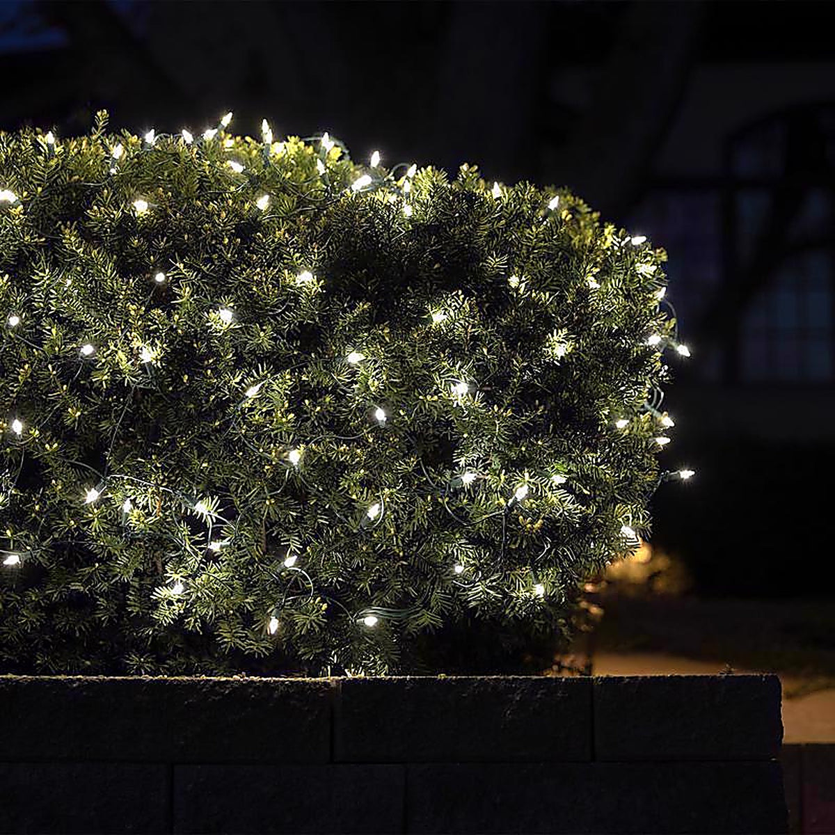 Celebrations - RNT100PWA - Classic LED T5 Pure White 100 CT Net Christmas Lights 4 Ft.