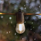 Feit - SL24-12MLED/FIL - LED Firefly Rope String Light Set Clear 24 Ft. 12 Lights