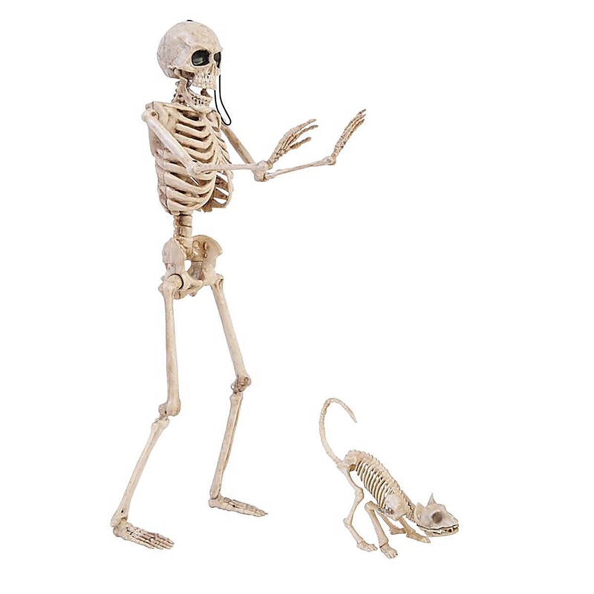 Fun World - 96121 - 14 In. Skeleton Walker Asst Halloween Decor