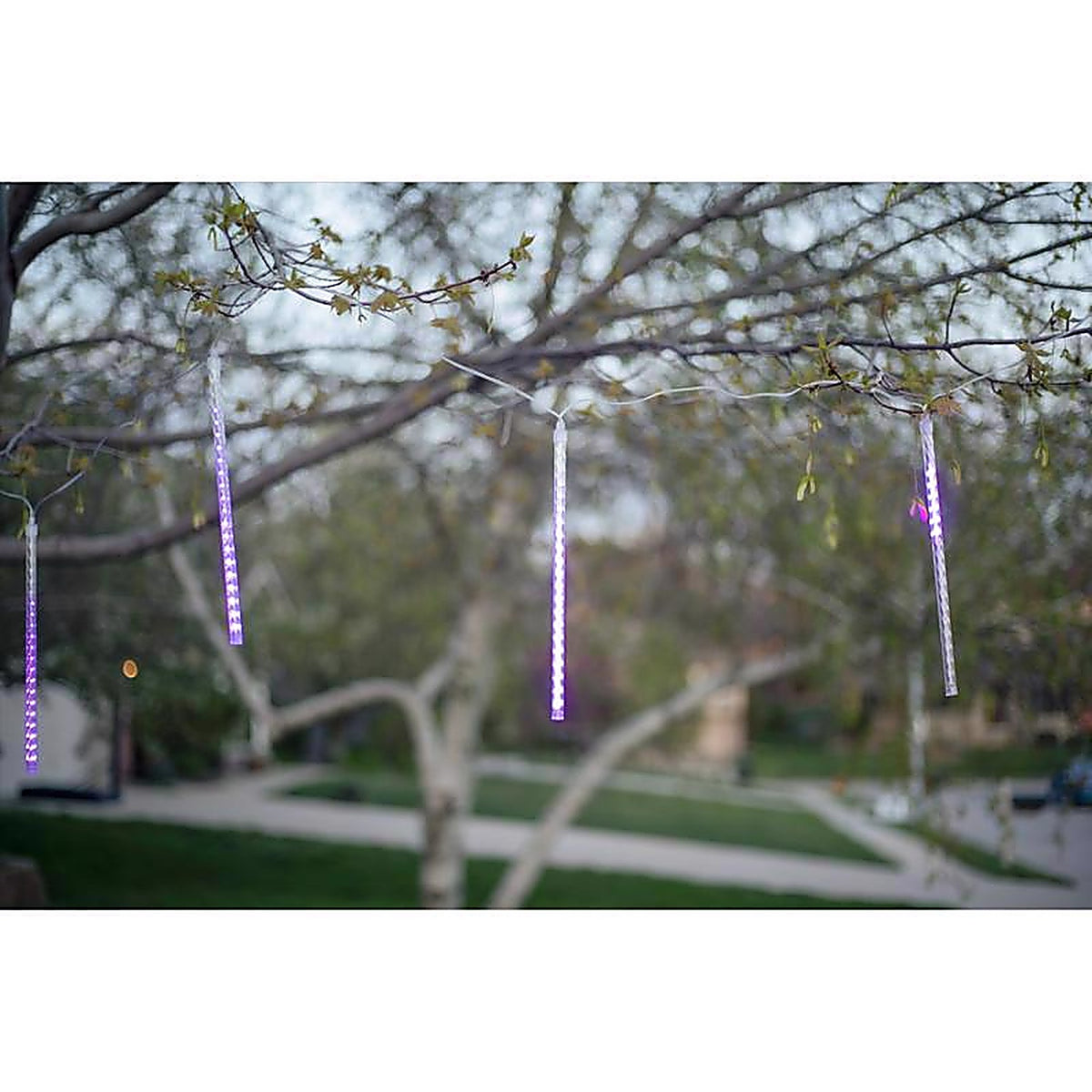 Celebrations - 22-08005A - Purple 12 In. LED Meteor Lights Halloween Decor