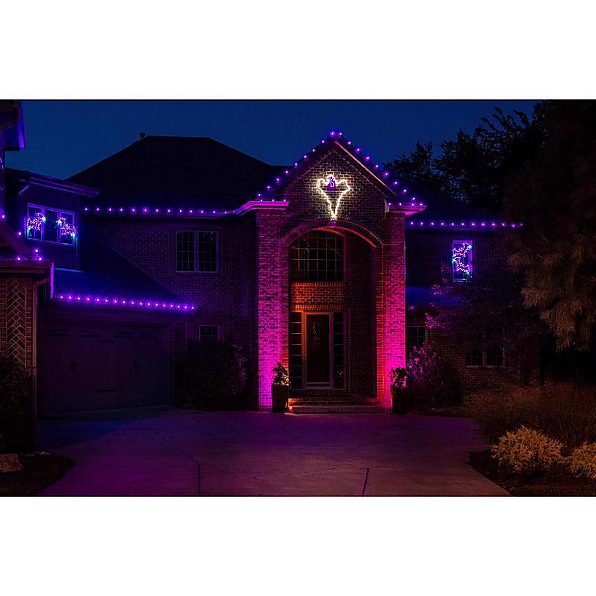 Holiday Bright Lights - 04-02017A - LED Ps C9 Purple 25 CT Christmas Light Bulbs