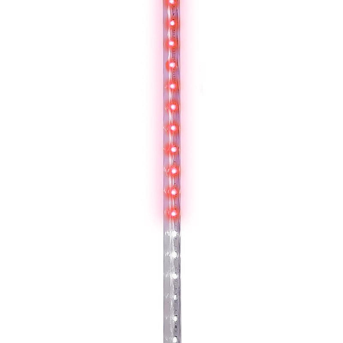 Celebrations - 22-08003A - LED Multicolored Christmas Lights