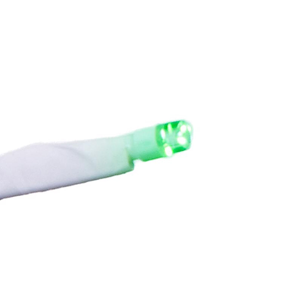 Celebrations - 23-04056A - LED Green/White Starlight Burst 16 In. Hanging Decor