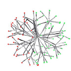 Celebrations - 23-10006A - LED Green/Red Shimmering Sphere 12 In. Hanging Decor