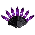 Celebrations - 11-14054A - Purple 100 CT LED String Lights