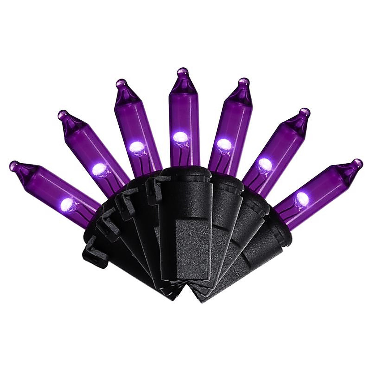 Celebrations - 11-14054A - Purple 100 CT LED String Lights