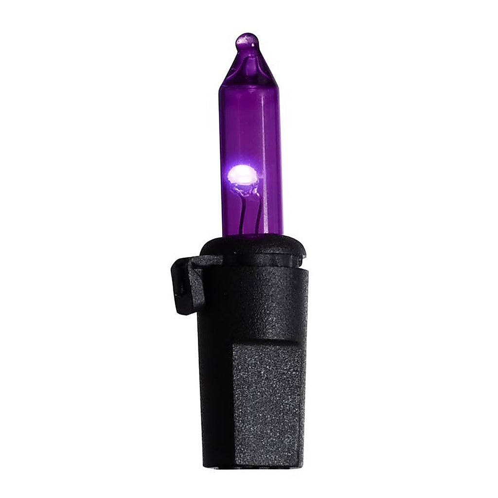Celebrations - 11-14054A - Purple 100 CT LED String Lights