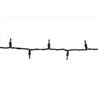 Celebrations - 11-14054A - Purple 100 CT LED String Lights