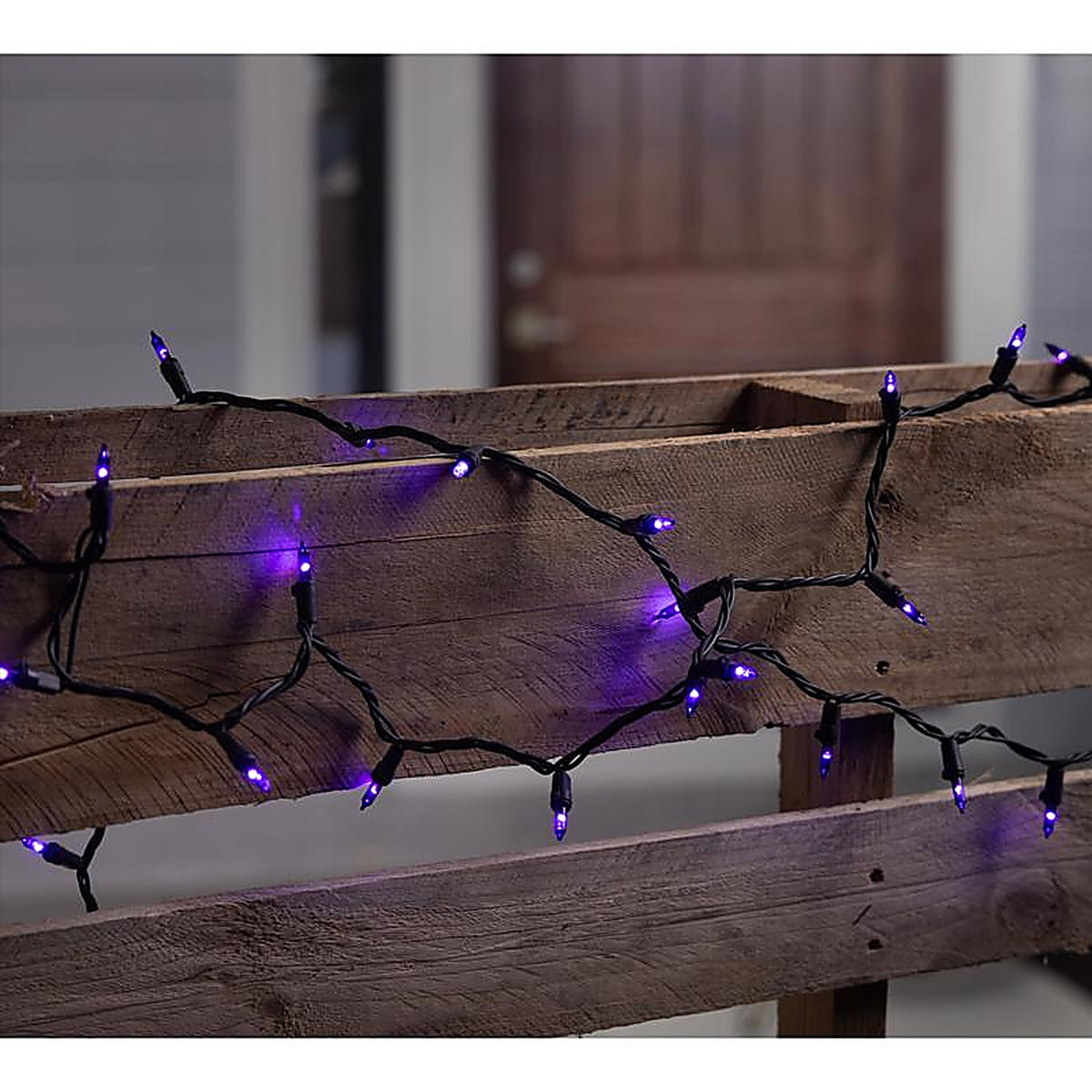 Celebrations - 11-14054A - Purple 100 CT LED String Lights