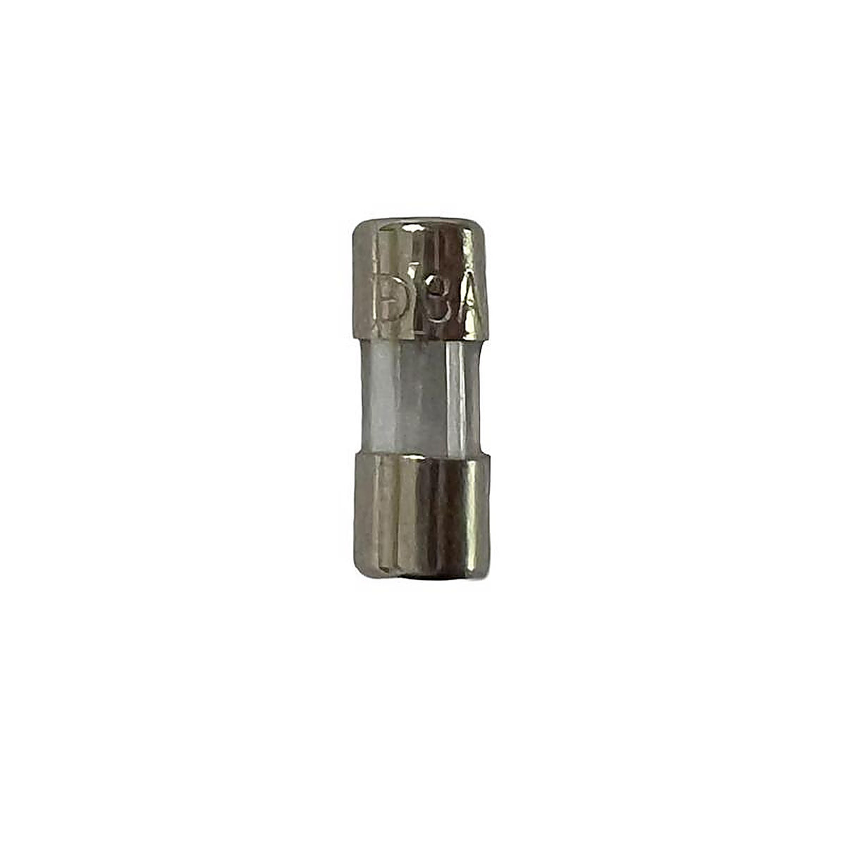 Celebrations - 01-04008A - LED Clear 6 CT Replacement 3Amp Fuse