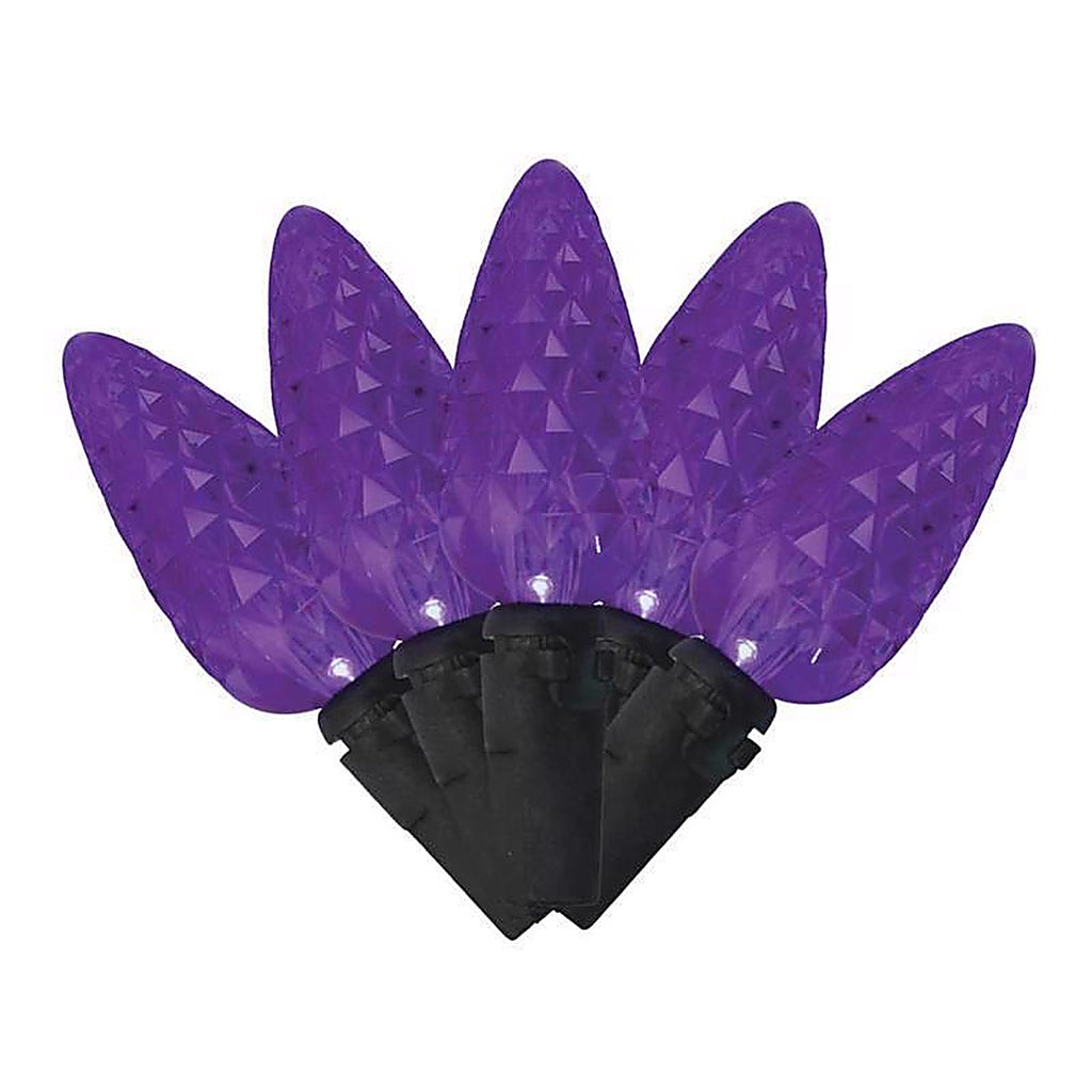 Celebrations - 11-04028A - Halloween Purple 100 CT LED Anti Flicker String Lights