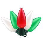 Celebrations - 11-06024A - Platinum LED C9 Red/Green/Pure White 25 CT String Christmas Lights 16 Ft.