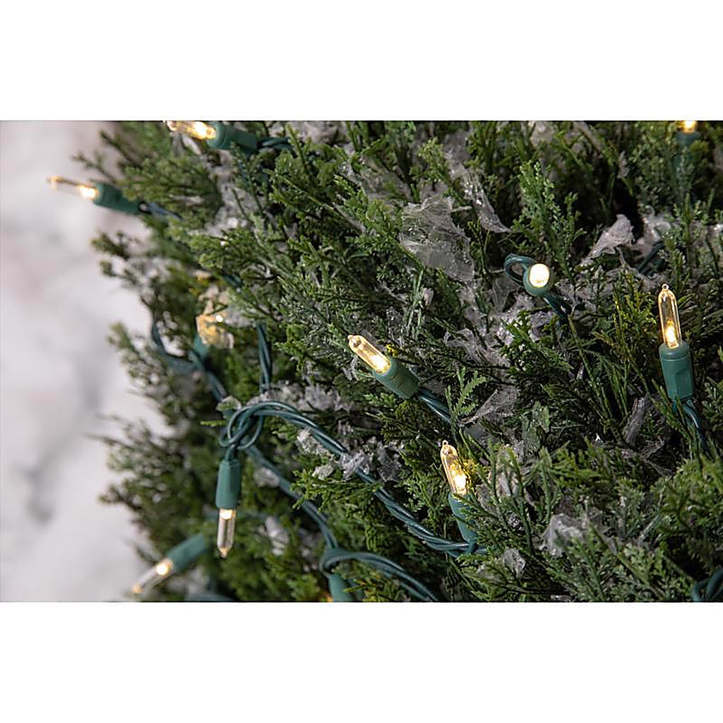 Celebrations - 11-09030A - Platinum LED T5 Warm White 50 CT String Christmas Lights