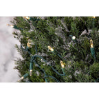 Celebrations - 11-09030A - Platinum LED T5 Warm White 50 CT String Christmas Lights