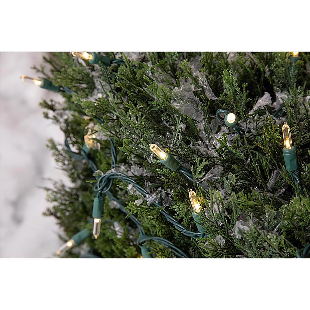 Celebrations - 11-09030A - Platinum LED T5 Warm White 50 CT String Christmas Lights