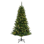 Celebrations - 24-06014A - 6-1/2 Ft. Full LED 200 CT Mixed Pine Color Changing Christmas Tree