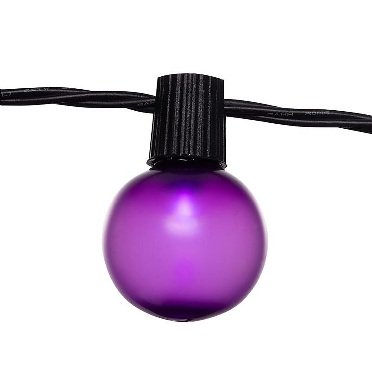 Celebrations - 11-17001A - Purple 25 CT LED Smooth Frosted Halloween Lights