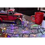 Celebrations - 21-01008A - LED Rice Multicolored/Warm White 50 CT Christmas Lights 16 Ft.