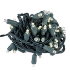 Celebrations - 11-01157A - LED Grand Mini Pure White 50 CT String Christmas Lights 25 Ft.
