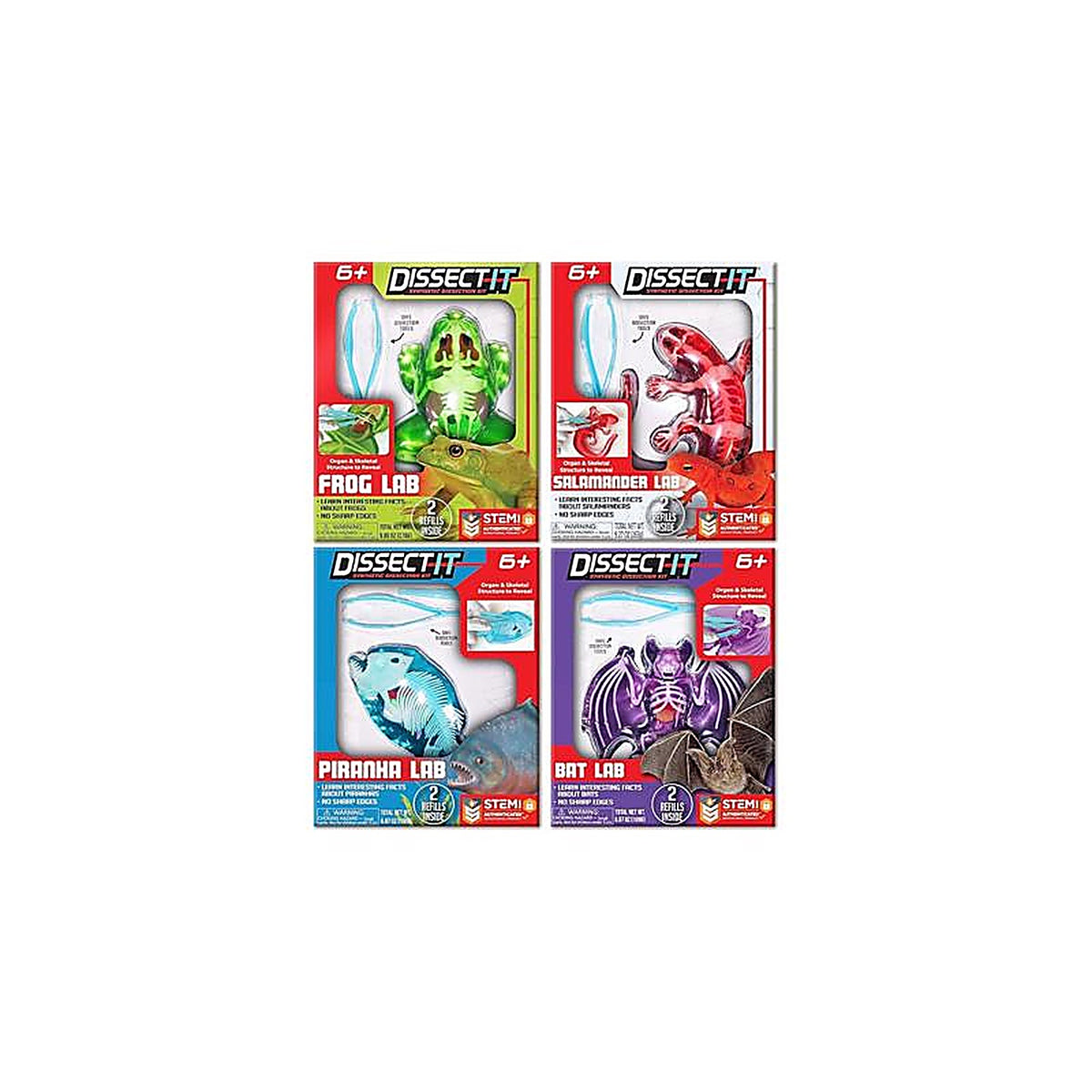 Cra-Z-Art - 1206 - Crazart Frog, Salamander, Piranha, and Bat Dissect It Mini Lab