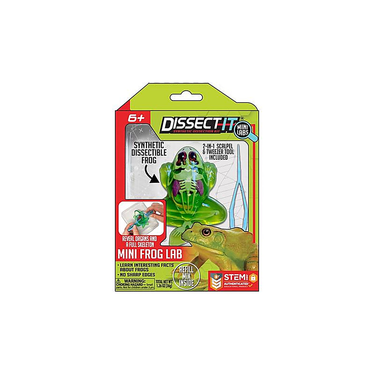 Cra-Z-Art - 1206 - Crazart Frog, Salamander, Piranha, and Bat Dissect It Mini Lab