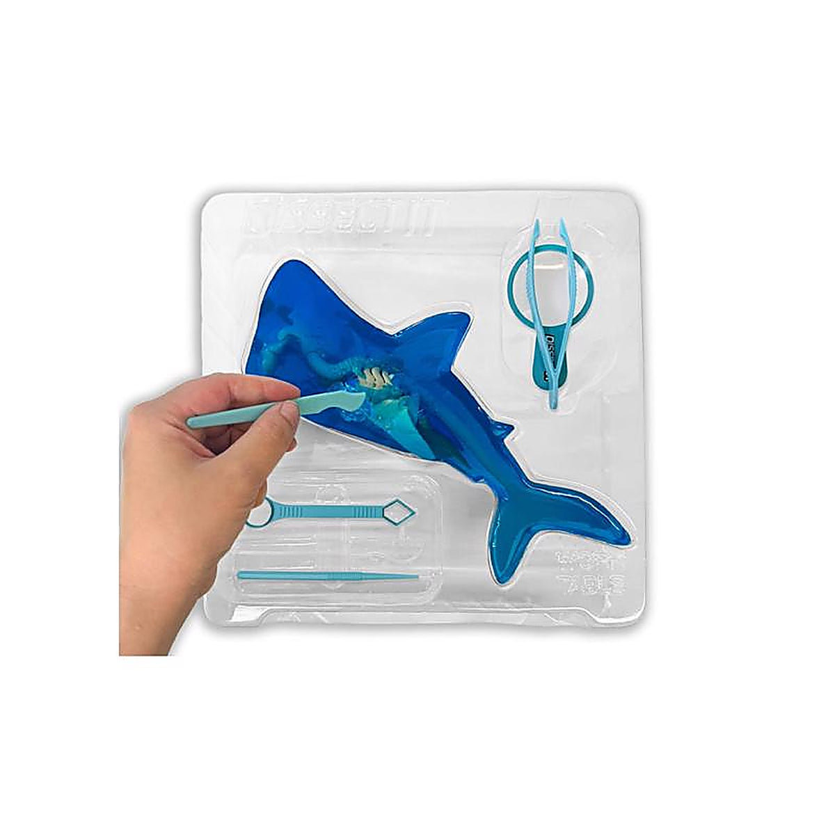 Cra-Z-Art - 83600 - Crazart Shark Mini Lab Kit