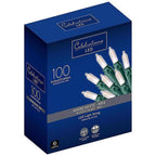 Celebrations 40840-71 LED Mini Clear/Warm White 100 count String Christmas Lights 24.75 ft.