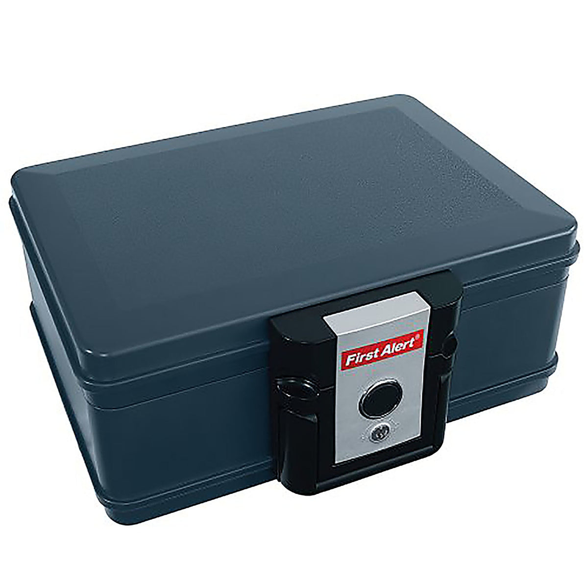 First Alert 2013F 0.17ft. Key Lock Gray Fireproof Safe