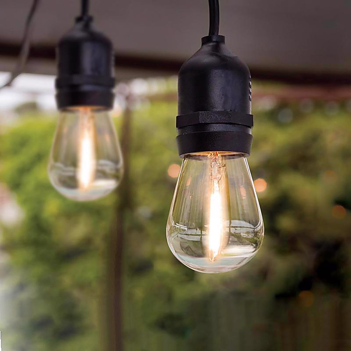 Feit Electric 72122 LED Edison LED Light String Clear 20 ft. 10 lights