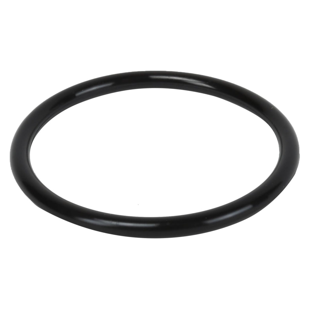 ACDelco 251-2031 Water Pump O-Ring 94011702