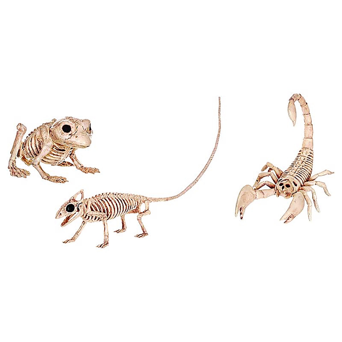 Seasons Z28061 Mini Animal Skeletons Halloween Decor
