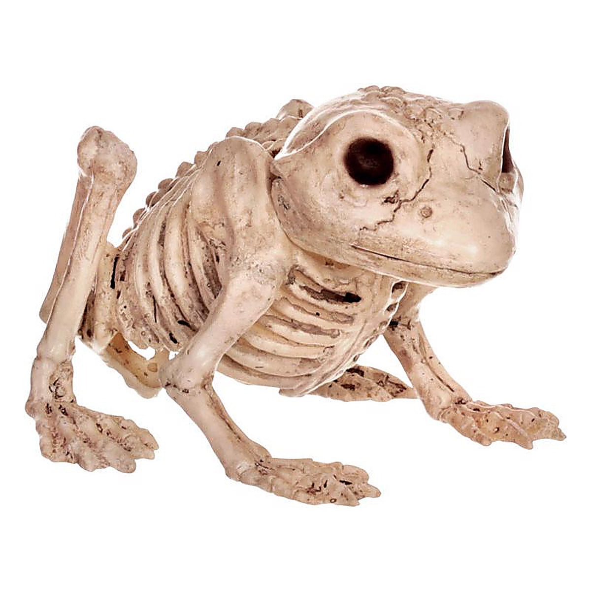 Seasons Z28061 Mini Animal Skeletons Halloween Decor
