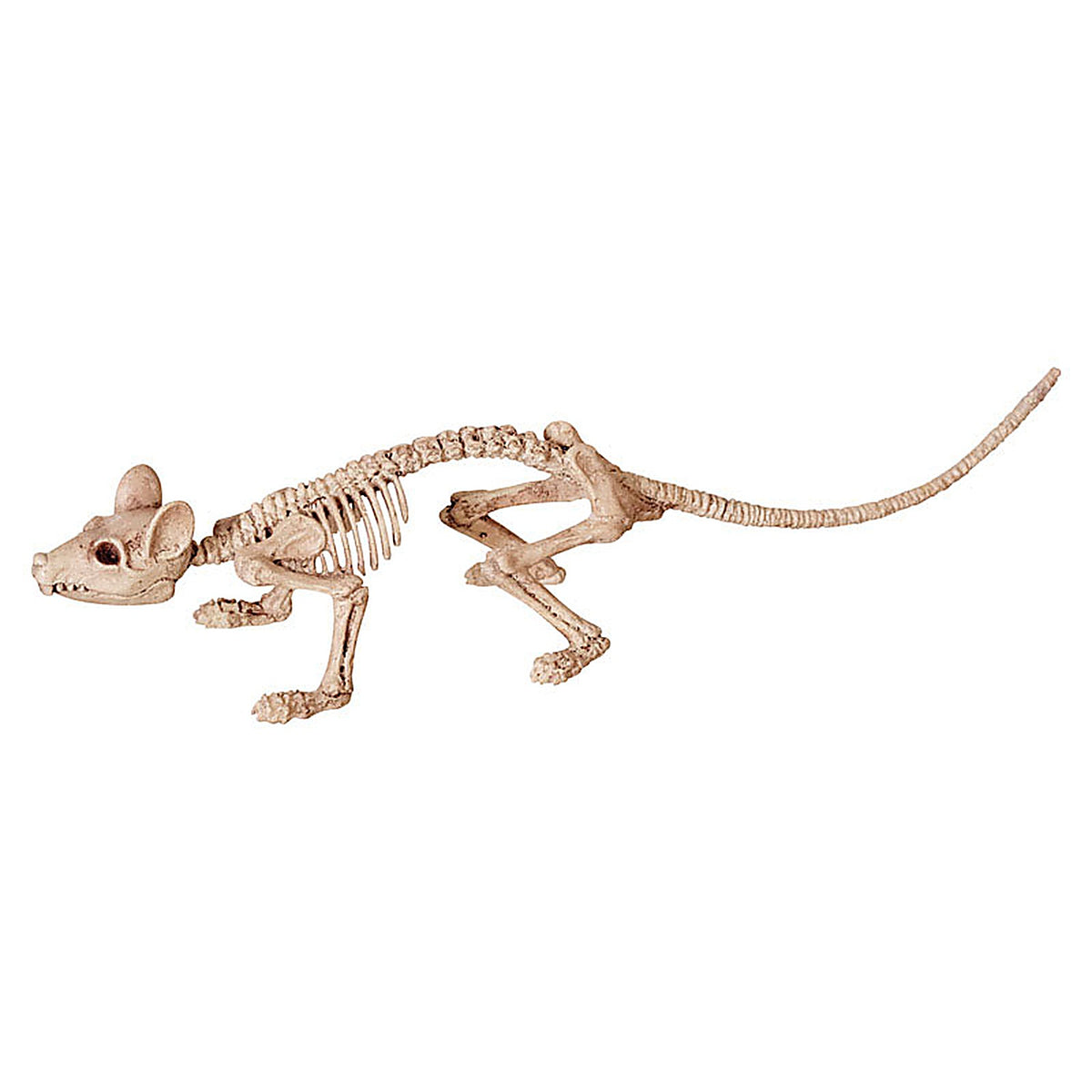 Seasons Z28062 Skeleton Asst Halloween Decor