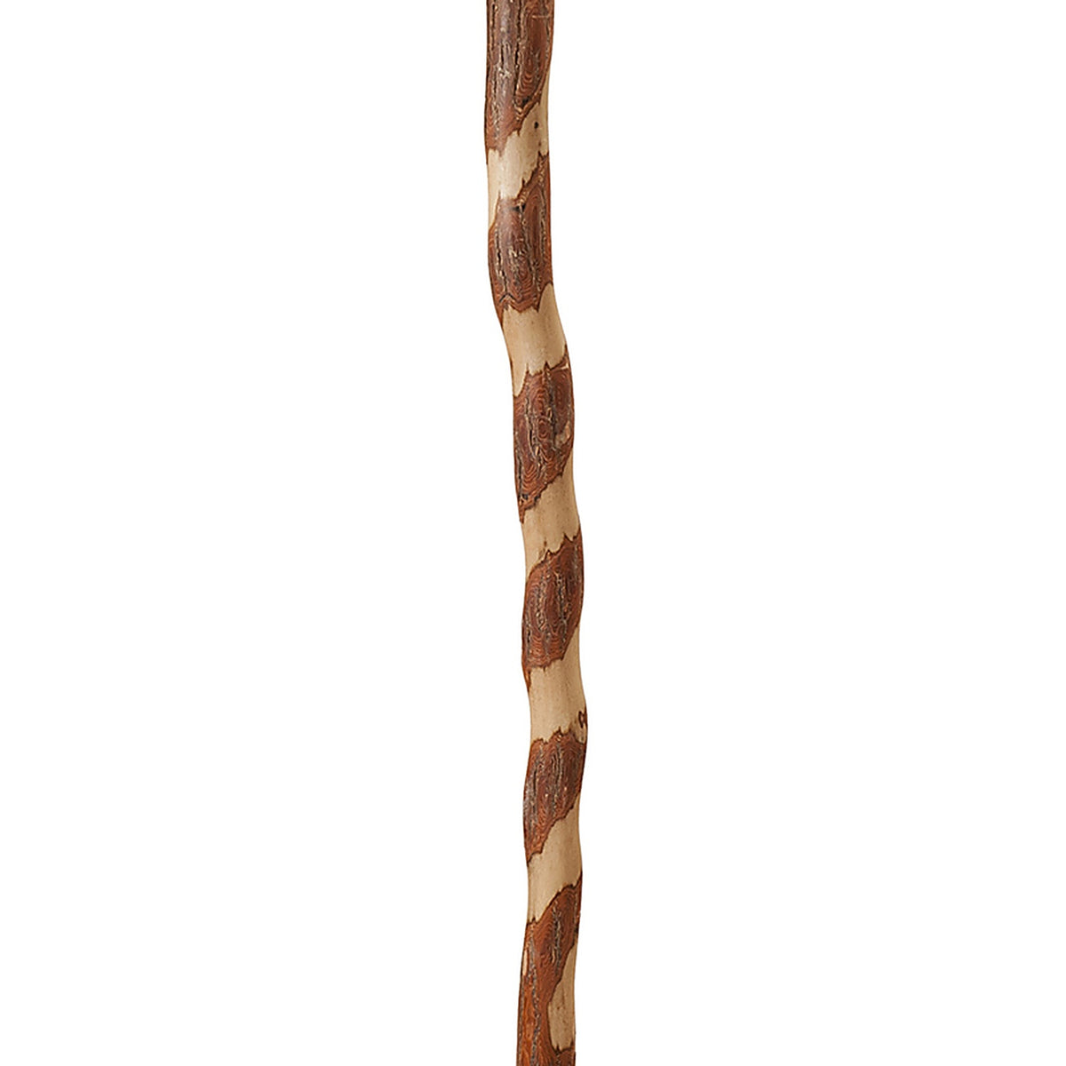 Brazos Walking Sticks - 502-3000-0269 - 37 In. Brown Sassafras Cane
