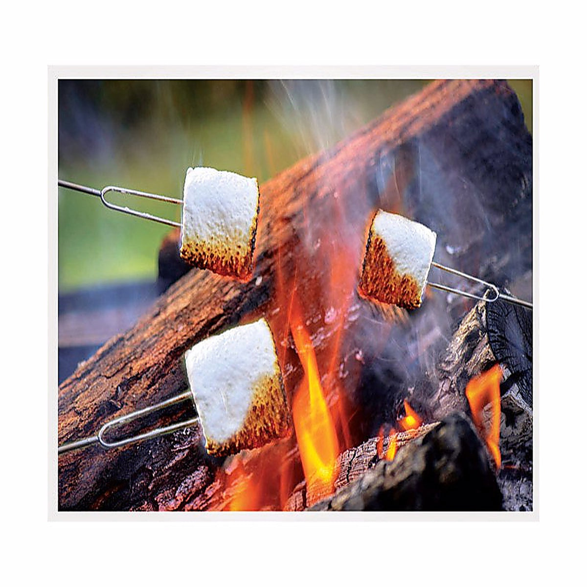 Blazing LEDz 702480 Open Flame Roasting Extendable Marshmallow Fork Plastic/Stainless Steel 3/Pack