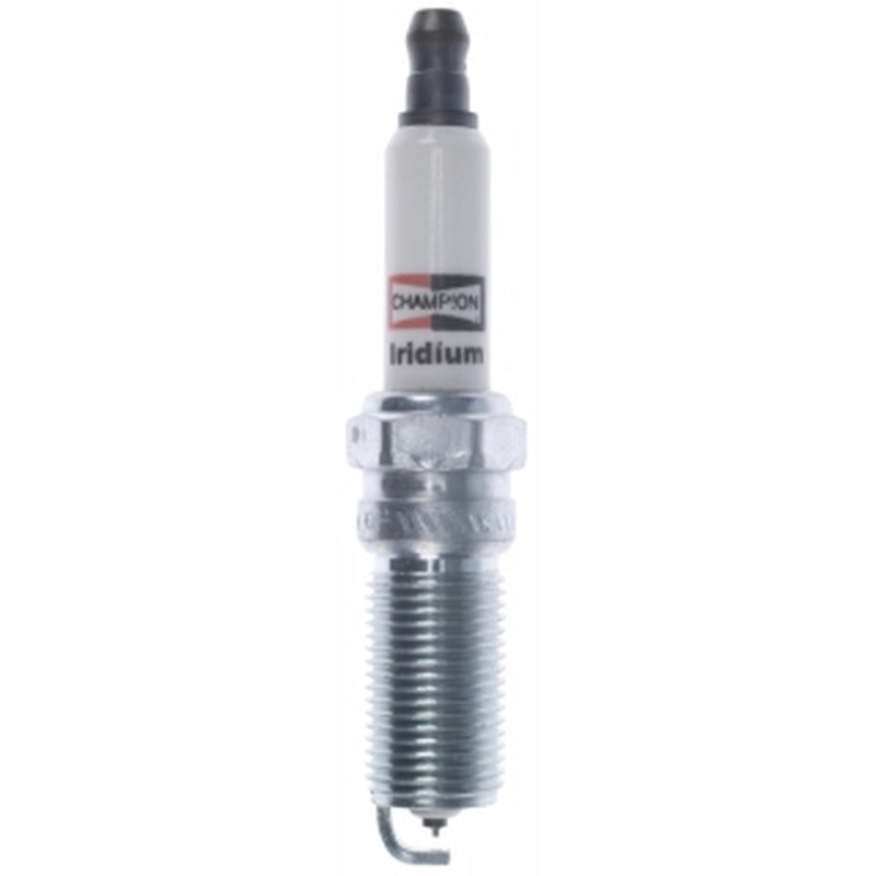 Champion Spark Plugs 9901 Iridium