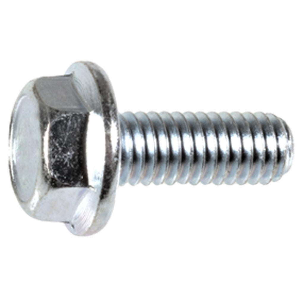 Auveco AP17316 Auveco Pak Hex Flange License Plate Screw M6-1.0 X 16mm