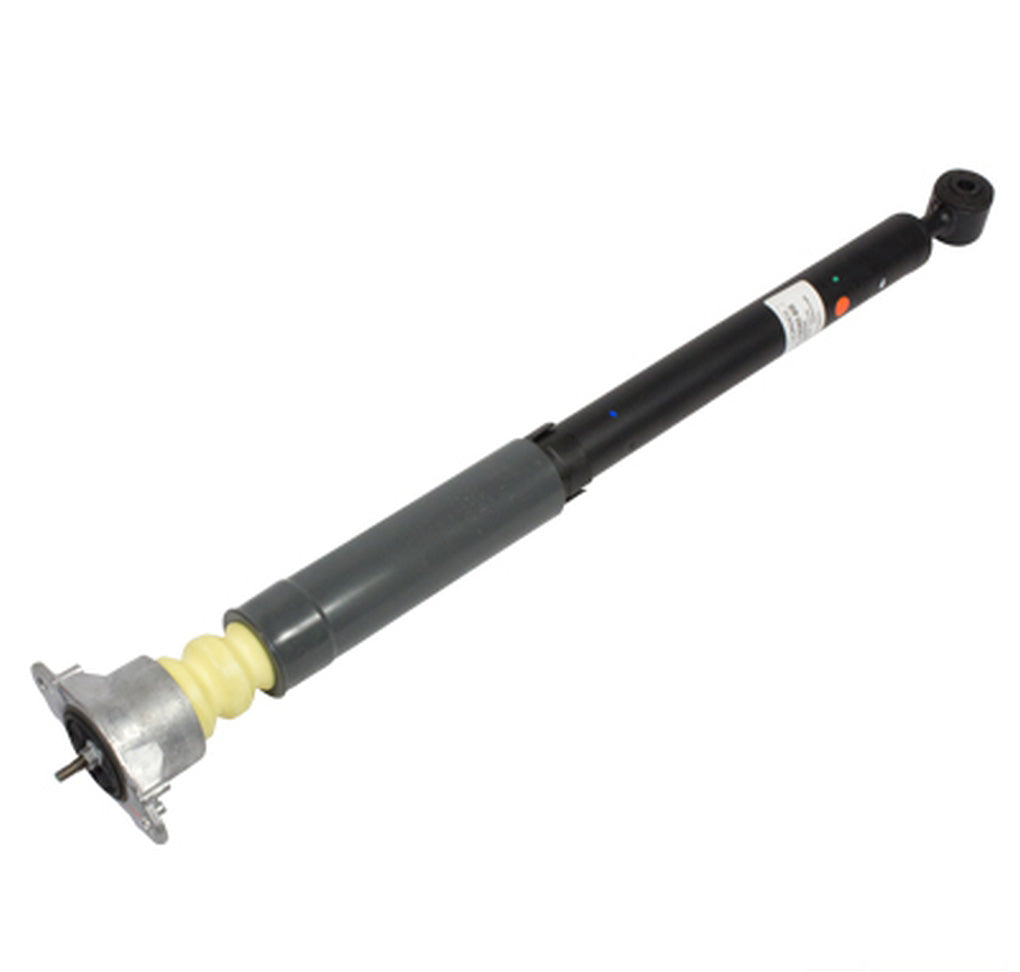 Motorcraft ASH24552 Shock Absorber Assembly