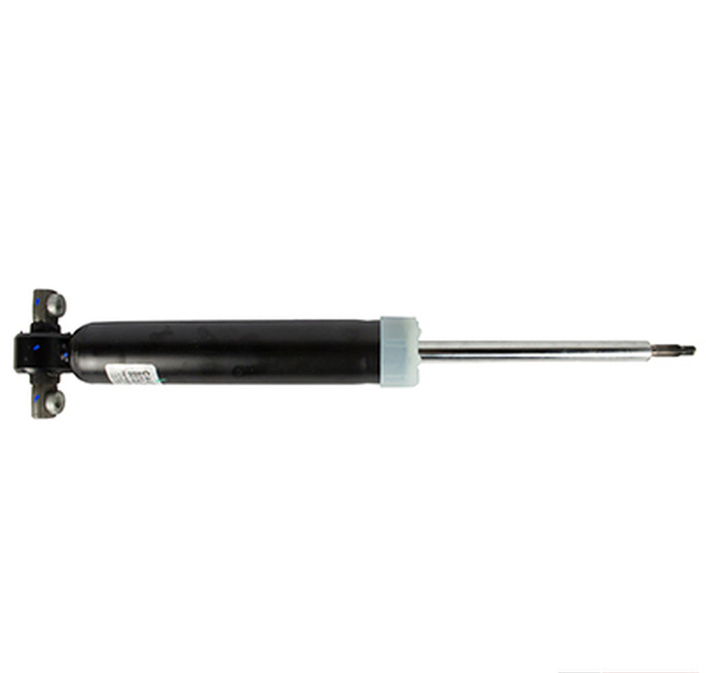 Motorcraft ASH24641 Shock Absorber Assembly