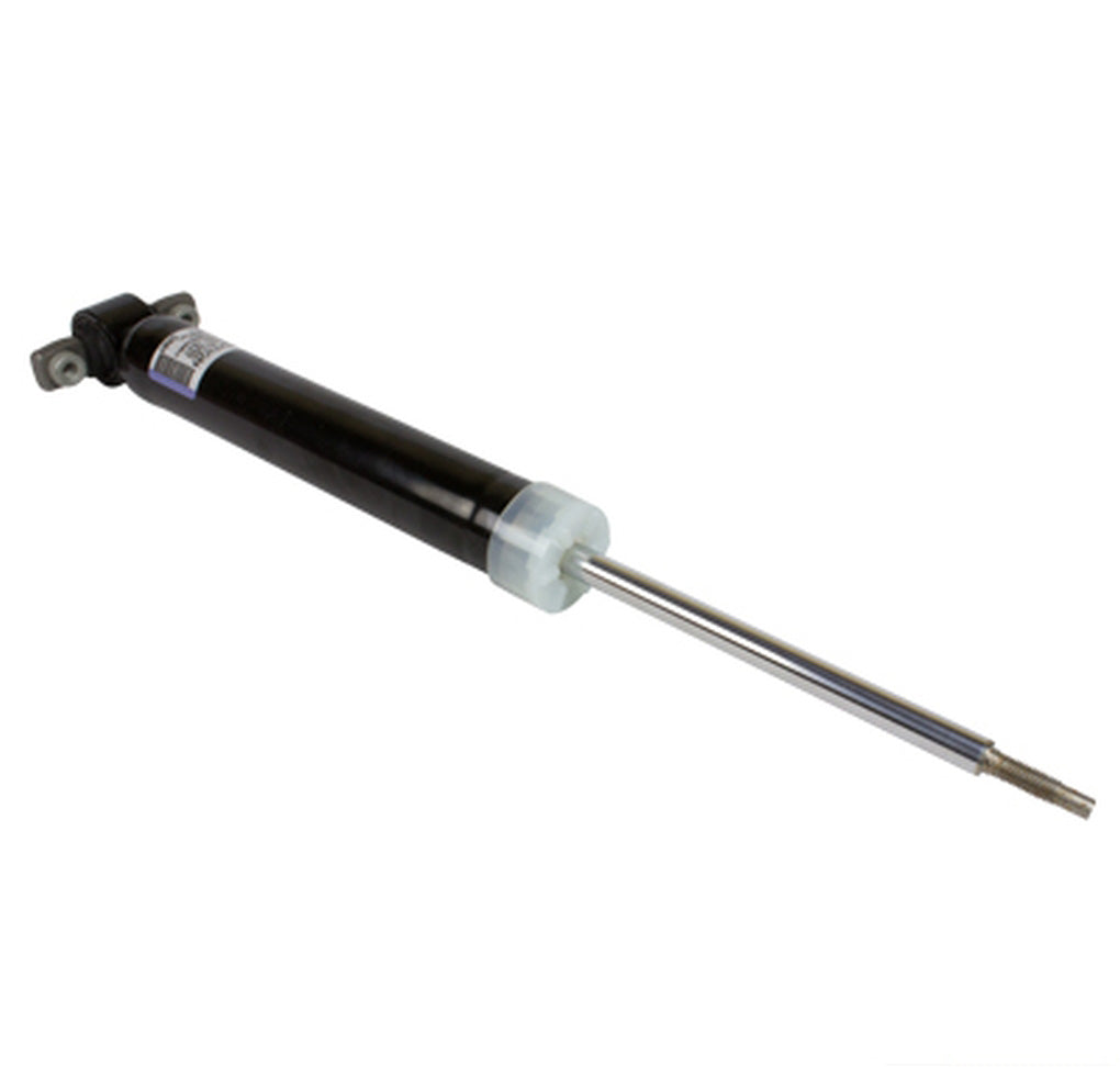 Motorcraft ASH24666 Shock Absorber Assembly