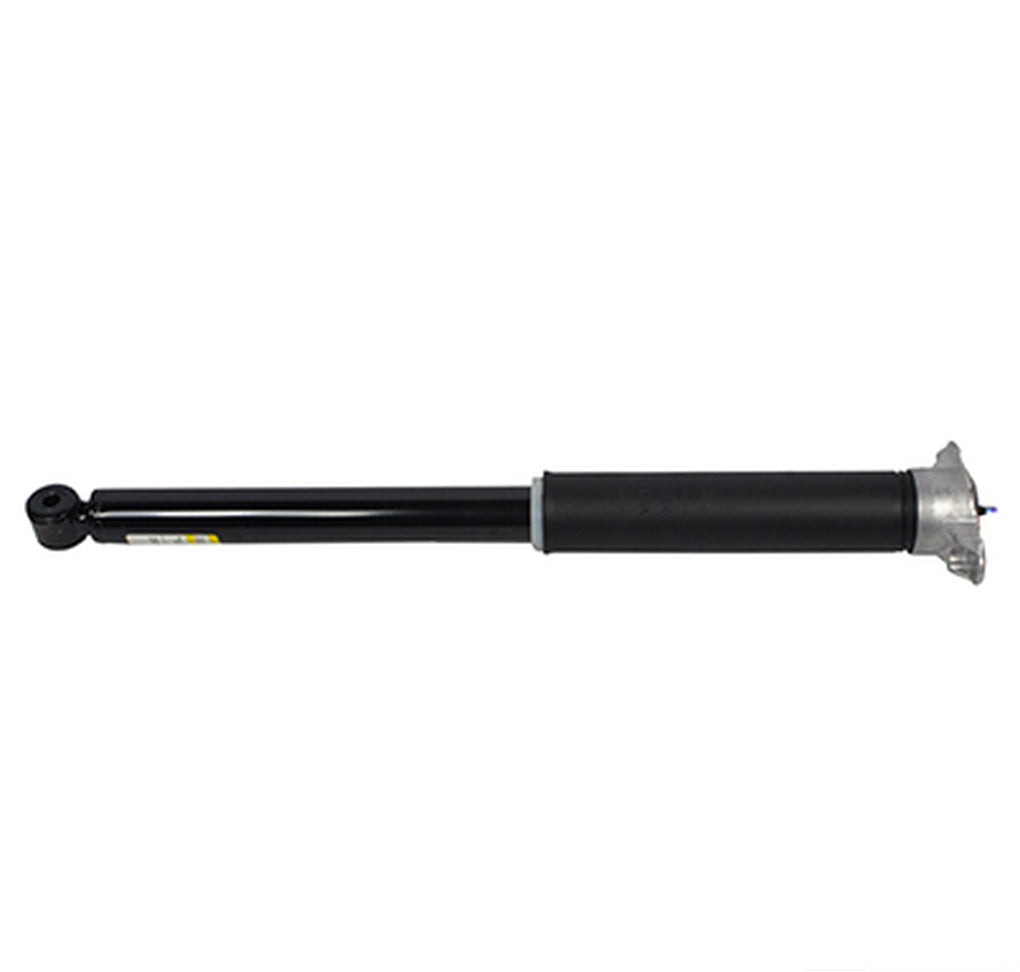 Motorcraft ASH24676 Shock Absorber Assembly