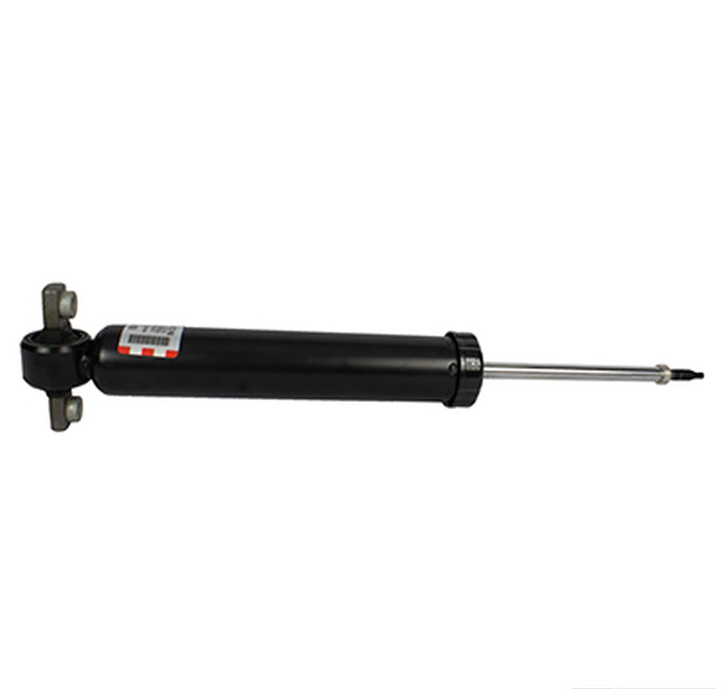 Motorcraft ASH24707 Shock Absorber Assembly